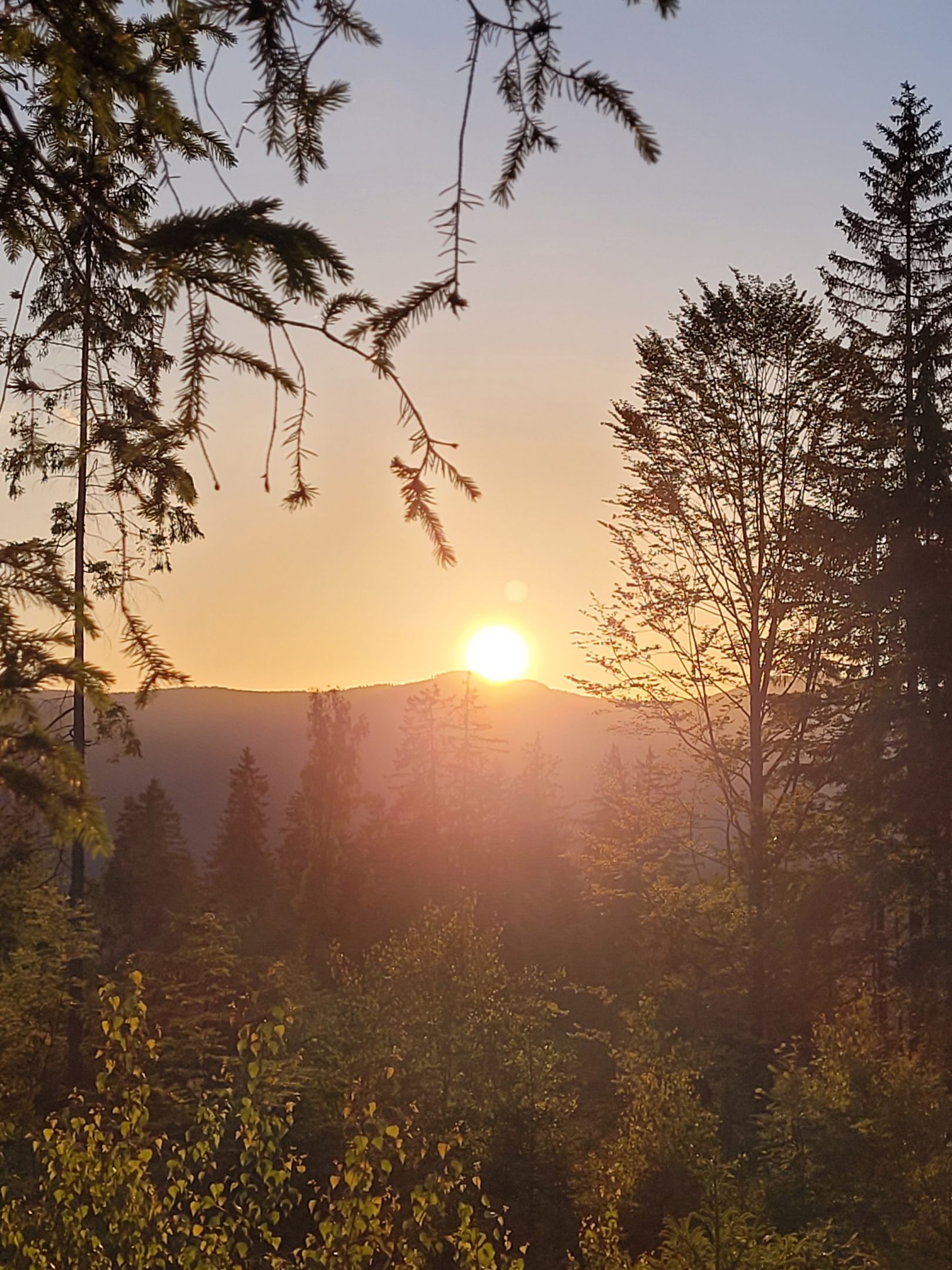 Neue Kurseinheit: Stressreduktion und Entspannung durch (Berg-)Wandern