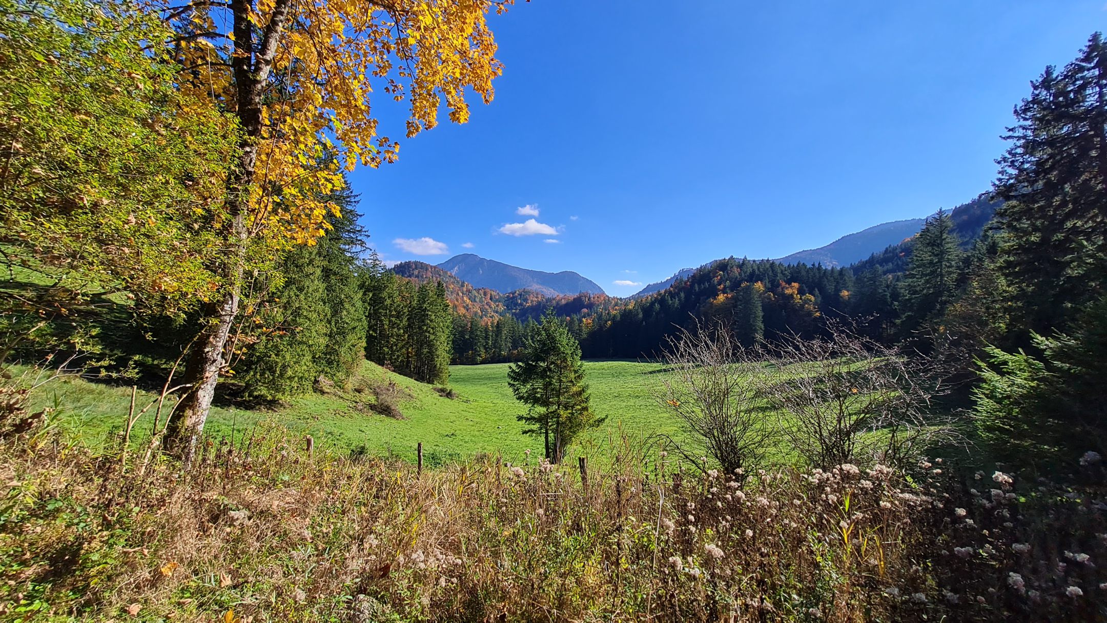 Erfolgreicher Auftakt: Kursprogramm „Stressreduktion & Entspannung durch Bergwandern“ startet in der DAV-Sektion Pfaffenhofen-Asch