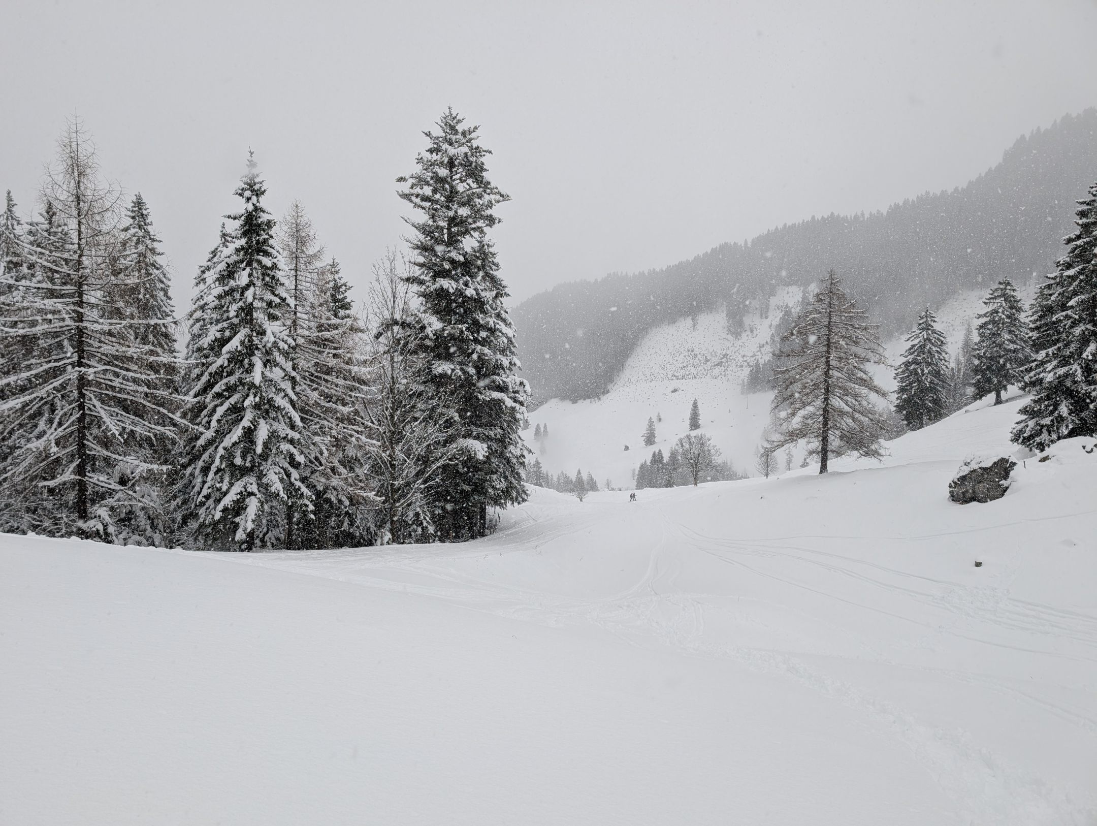 Skitour für Einsteiger auf den Vogelsang